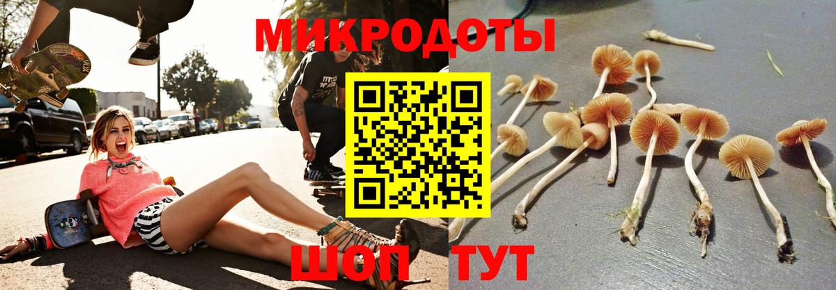 Псилоцибиновые грибы GOLDEN TEACHER  Вход с VPN  Галлюциногенные грибы GOLDEN TEACHER  Зеленокумск 