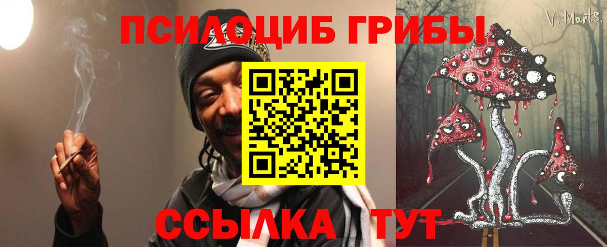 Галлюциногенные грибы прущие грибы Зеленокумск